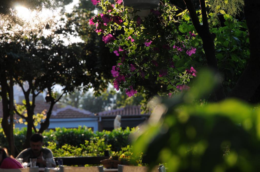 Hotel Morfeas Platamon Dış mekan fotoğraf