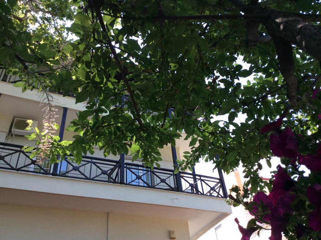 Hotel Morfeas Platamon Dış mekan fotoğraf