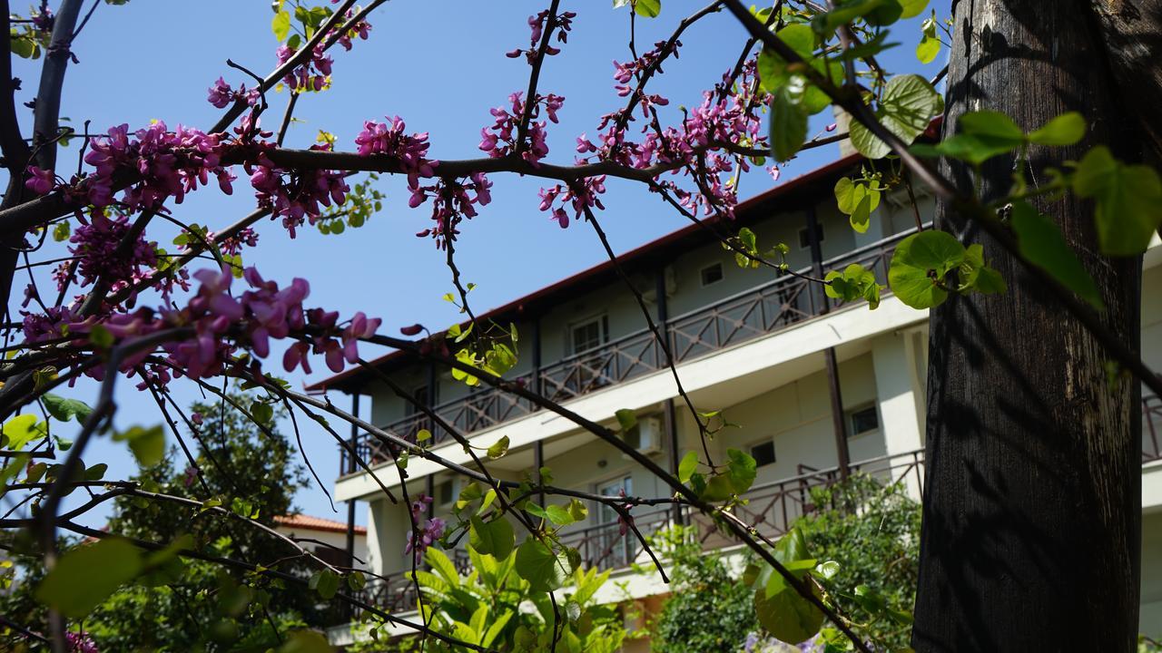 Hotel Morfeas Platamon Dış mekan fotoğraf