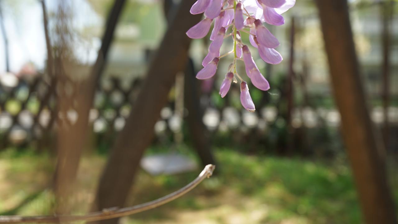 Hotel Morfeas Platamon Dış mekan fotoğraf