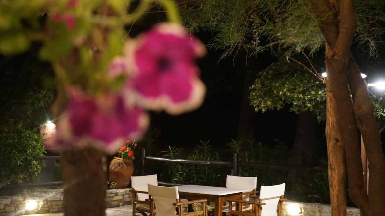 Hotel Morfeas Platamon Dış mekan fotoğraf