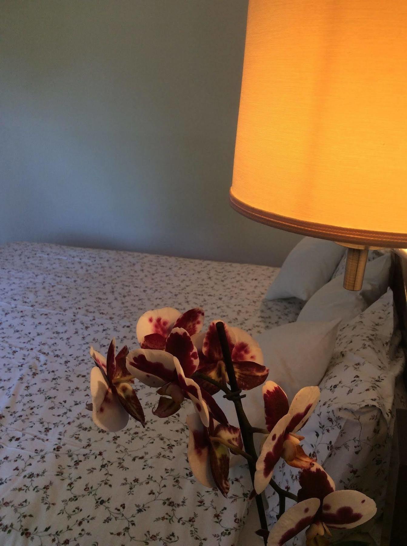 Hotel Morfeas Platamon Dış mekan fotoğraf